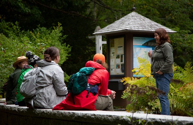 Woman clutching a notebook faces students on a stone wall surrounded by ferns and trees