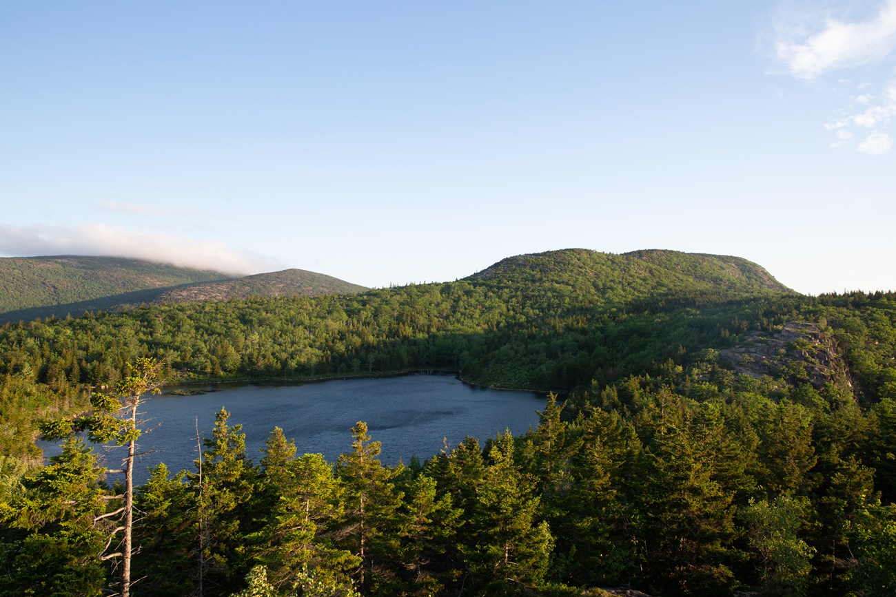 Mountains and a body of water surrounded by forest