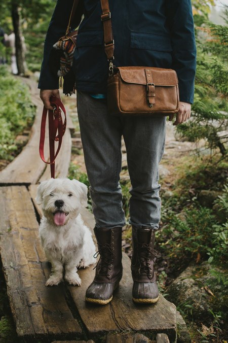 Small white dog sits on wooden trail boardwalk with leash held by human companion