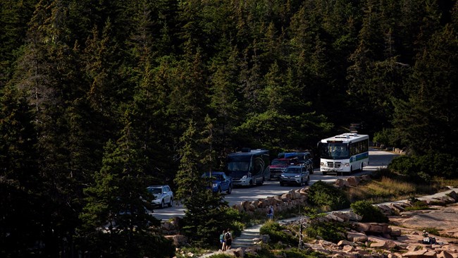 Bus and cars on a park road