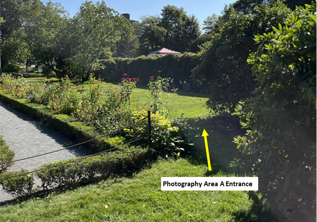 Access point for Photography Area A, which is a break between the boxwood hedges and other shrubs at the far west side of the formal garden.