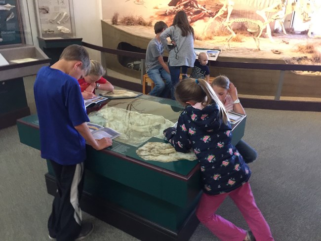 Young people work on Junior Ranger Activity Guides in the visitor center. They gather around the fossil exhibits of Miocene mammals.