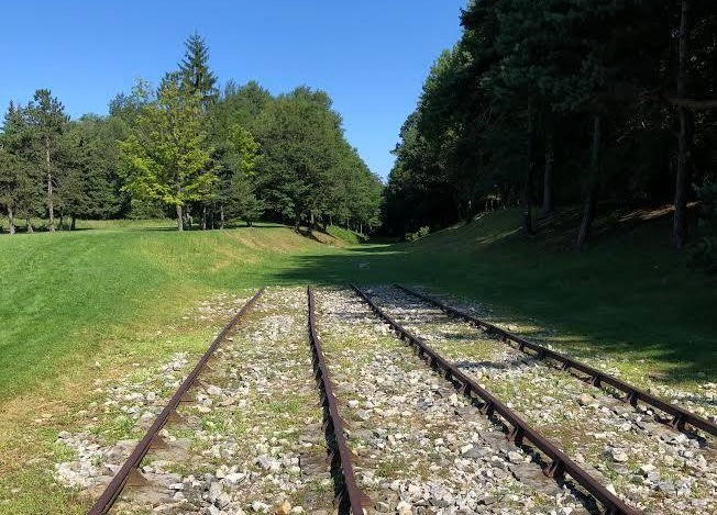 Reproduction track