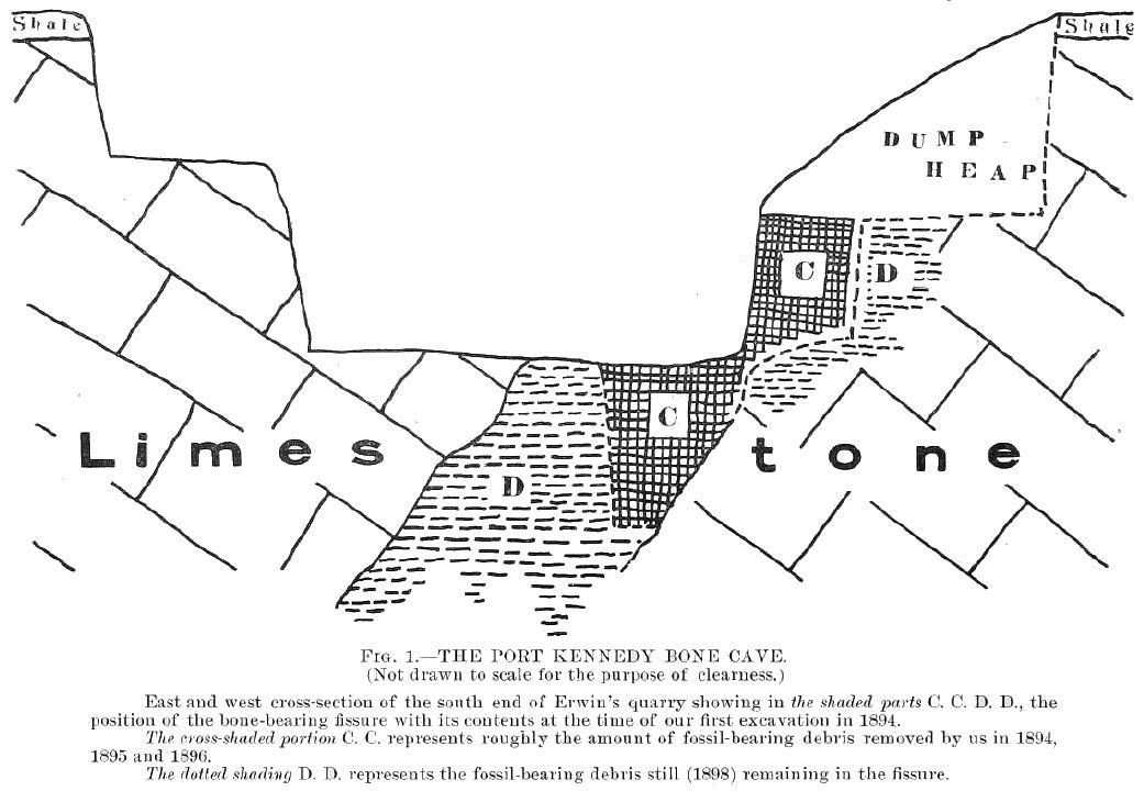 0901_PK_X-Section A cross-section of the Port Kennedy site prepared for Henry Mercer's 1899 article