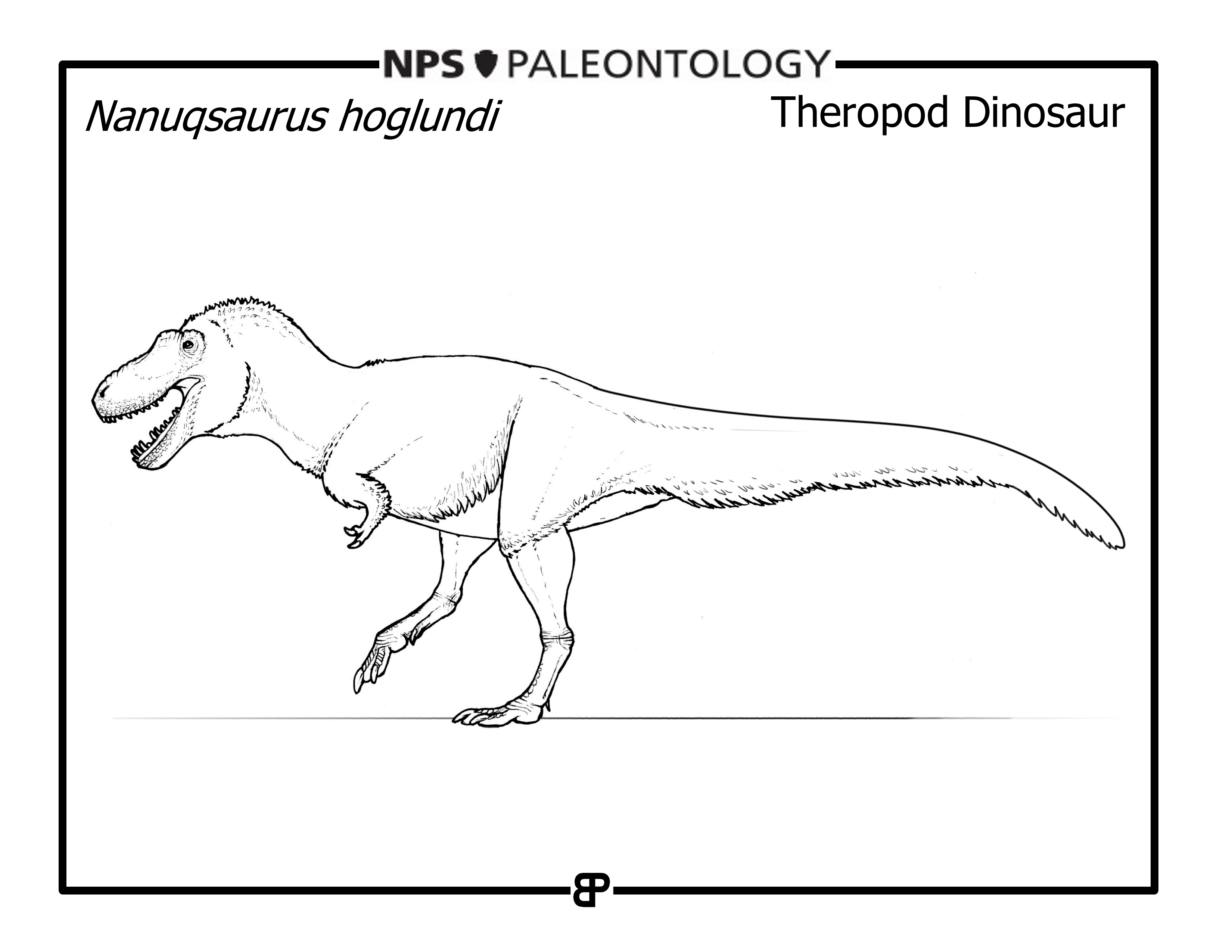 10 DENA - Nanuqsaurus line drawing of a dinosaur
