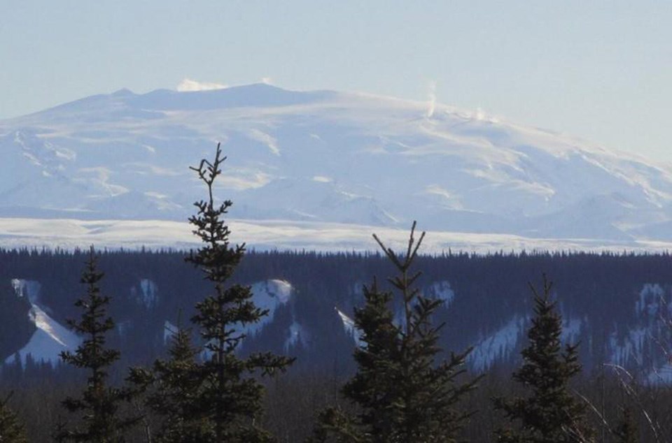 photo with forested foreground an a large dome shaped mountain in the distance