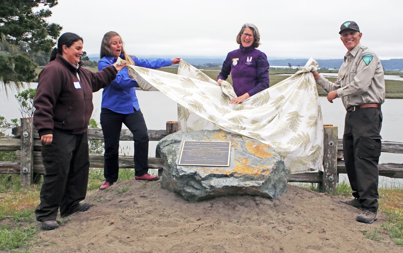 Four people pulling a cover off a rock with a plaque