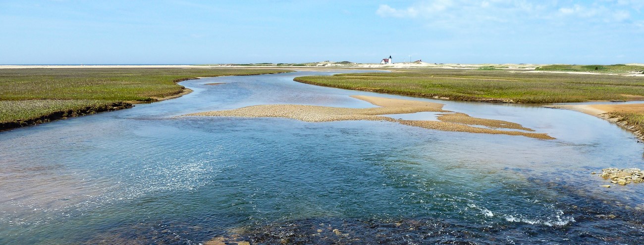 lt= salt marsh and and dunes and a lighthouse in the background