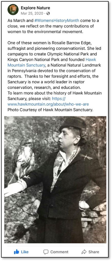 black and white image of woman with a hawk on her arm