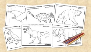 24_coloringpage_featuregrid2_resized