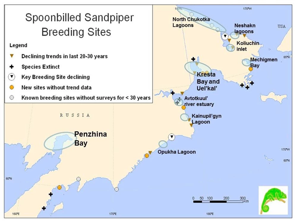 2_map_web Map of eastern Russia and sandpiper habitat.