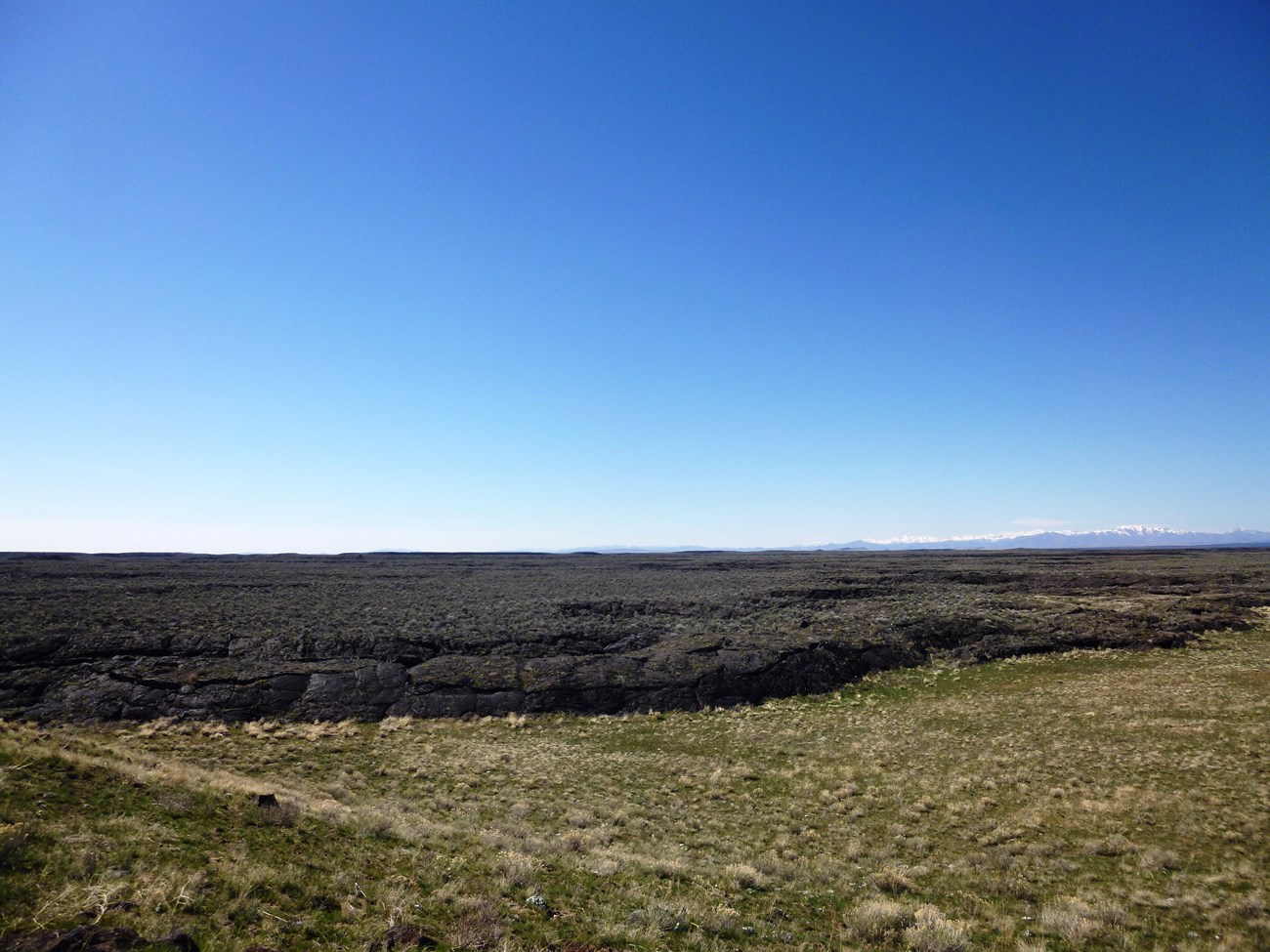 photo of a landscape partially covered with black rocks from a lava flow