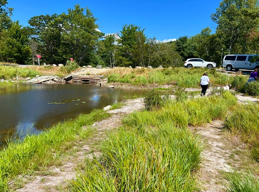 Compacted social trails beside a waterway, along where the water passes under via a narrow stone culvert. Visitors and a dog are heading back towards cars parked along the road.