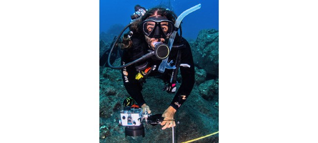 Puig-Santana underwater in dive gear with an underwater camera by a yellow transect tape.