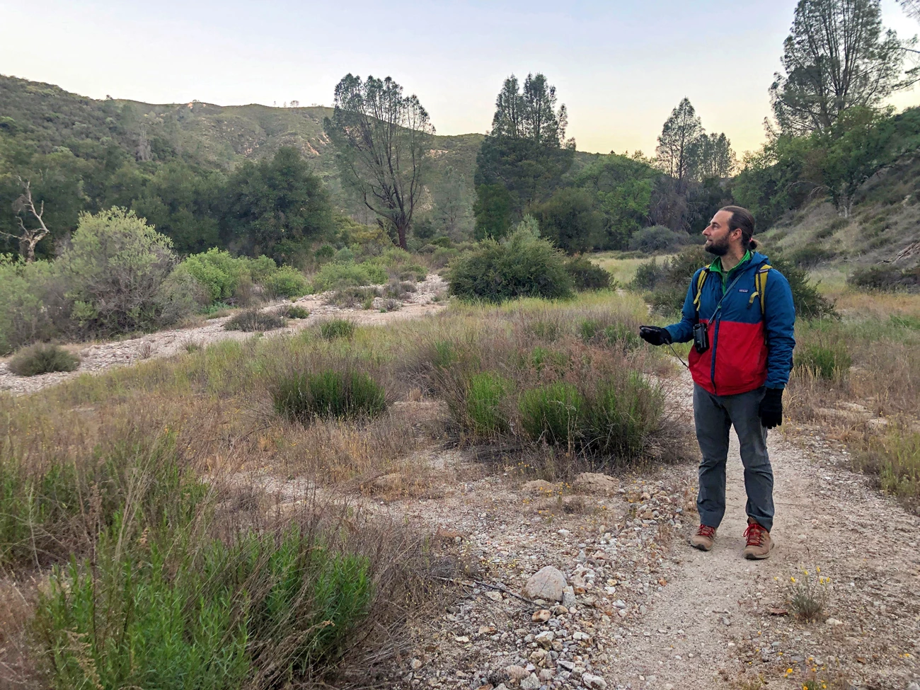 Locating a point count station Person pauses on a trail beside a dry creek bed to get a reading from his hand-held GPS device.