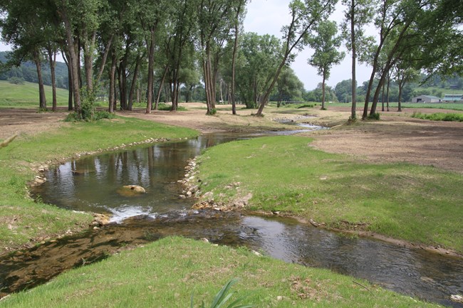 Small creek traversing through short grass area with trees in background