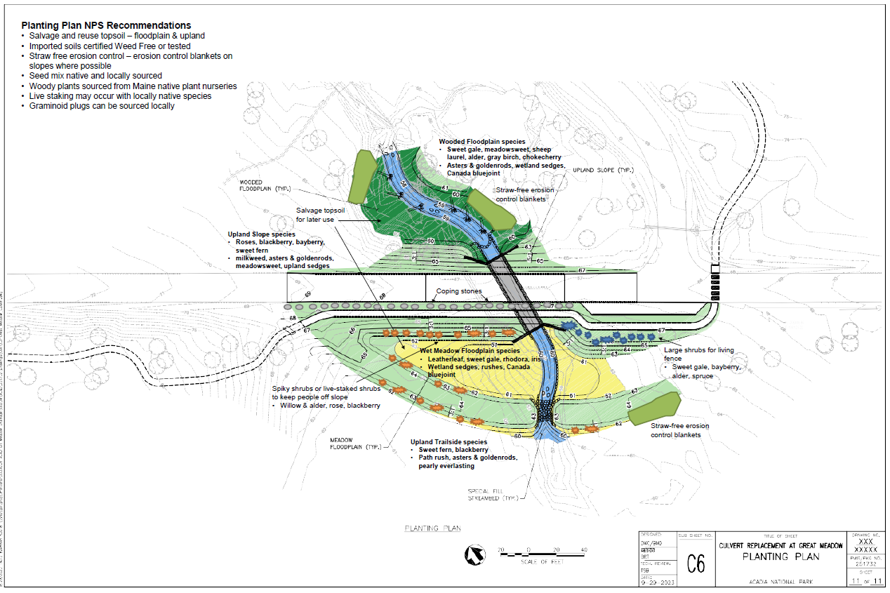 Diagram of planned vegetation around the new culvert. On the meadow side, there's an expanded floodplain surrounded by dots indicating shrub plantings. On the other side there's a forested floodplain where trees and understory plants will go.