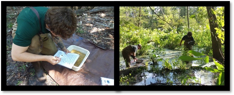 Collage of two images depicting person taking notes and two people walking in a swamp.