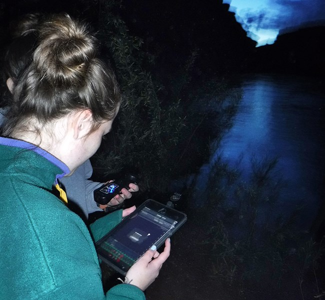 A student holding an iPad with a bat monitoring device attached. A student holding an iPad with a bat monitoring device attached.
