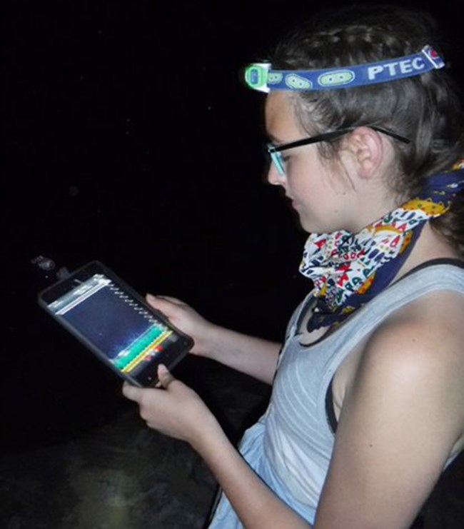A student holding an iPad with a bat monitoring device attached.
