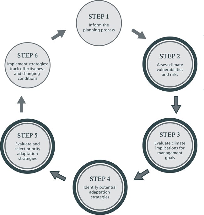 CSC_FlowChartWC_4b A program flow chart with circles that describe steps in a process.