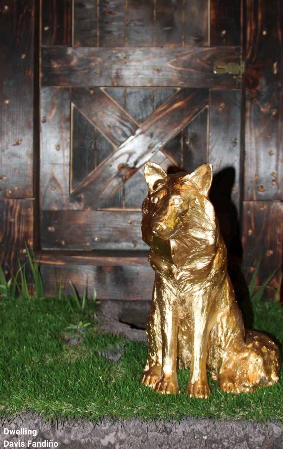 Golden Fox in foreground sitting on grass with fox hole under a brown door