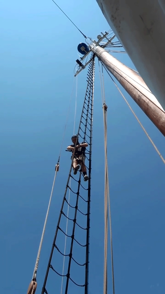 Animated GIF of a man climbing a sailing ship's rope rigging holding a selfie stick. The ropes coming down from the very top of the mast sway in the breeze as he adjusts something in front of him.