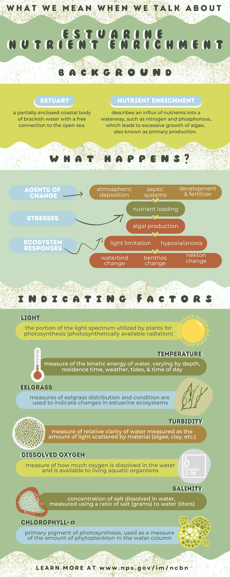 Infographic with graphics and text describing NCBN water quality monitoring program.