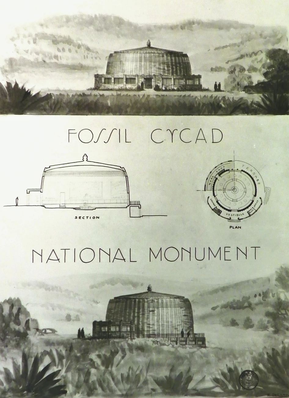 FIGURE 4 - FOCY Drawings of a visitor center designed for Fossil Cycad National Monument