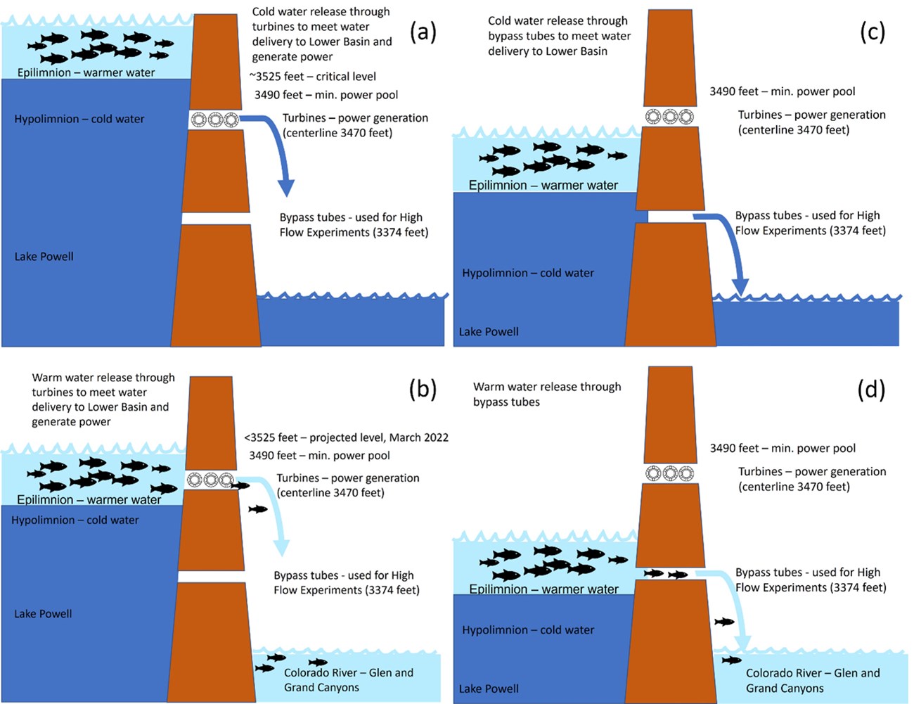 Figure 1 Trammell_web_rev A four-part conceptual model that shows different water levels and associated risks for invasive fish introduction.