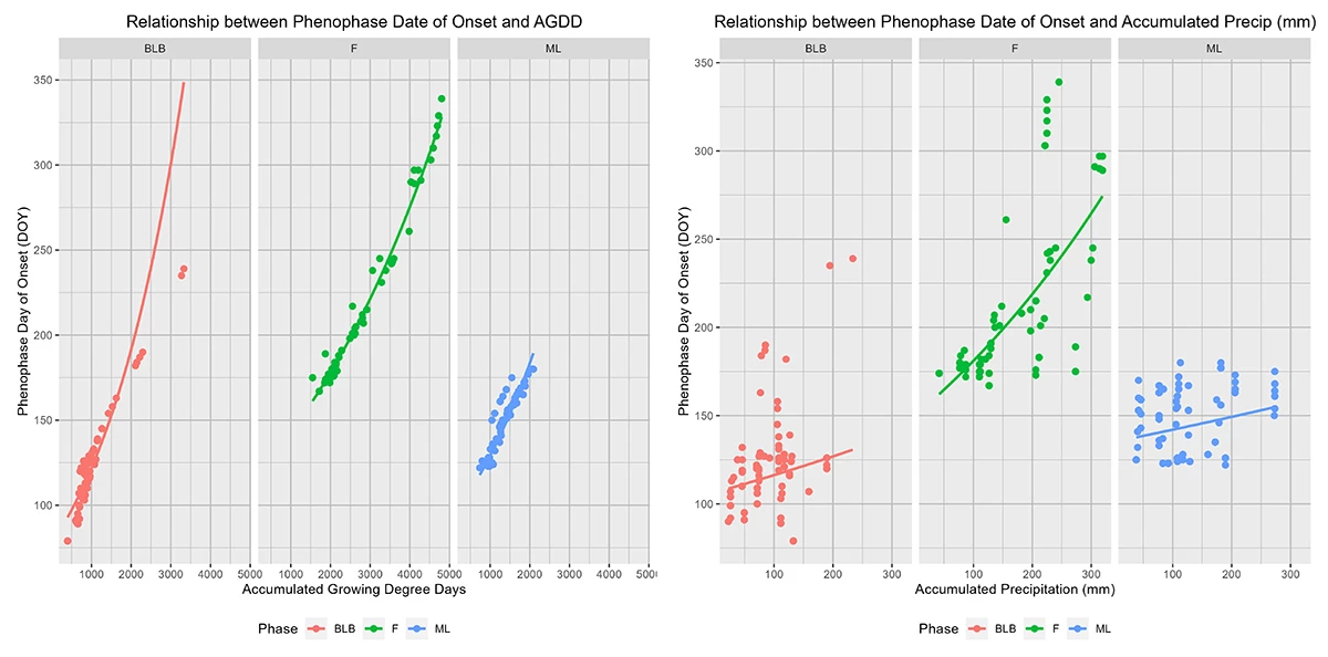 Figure 2_phenophase_NEW_web Two graphs that show the relationship between warmth and rain in oak phenology timing.