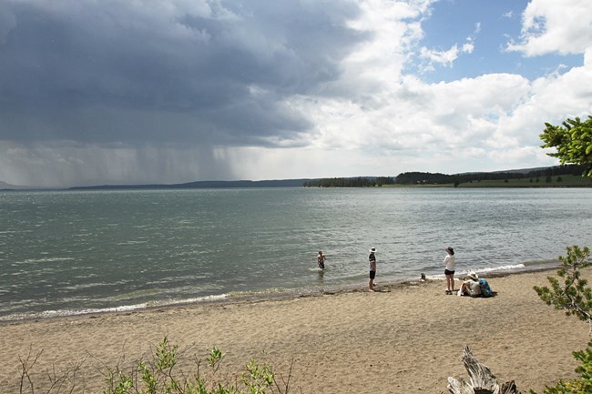 Fig.3_YELLShore Three people rest on the golden sand beach while one person swims in the water.