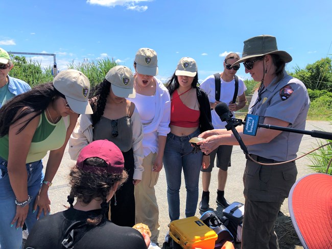 The Mexican women look at some native Cape Cod marine animals.