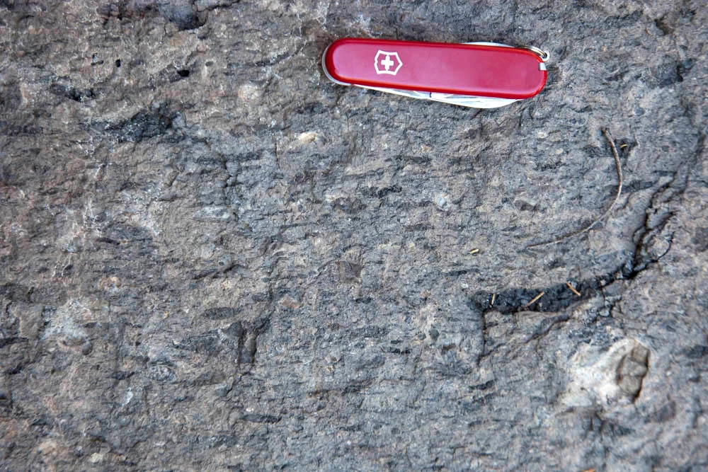 GeologyPics-160909-48 copyright Marli Miller copyrighted photo showing close-up rock texture of welded tuff