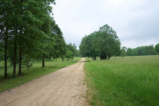 Green River Road NPS Image of a road surrounded by fields and trees