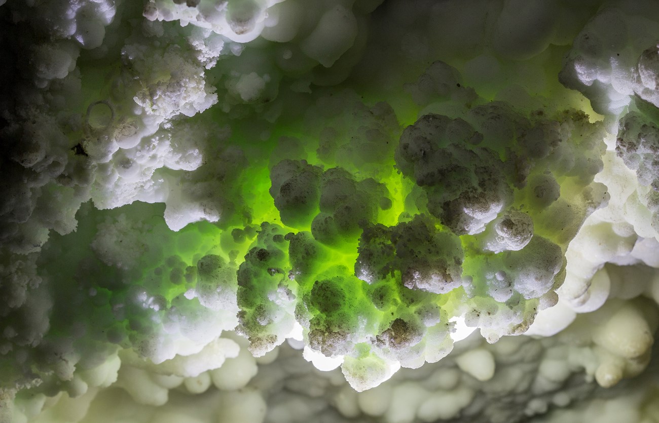 Green cave formations against a background of white formations.