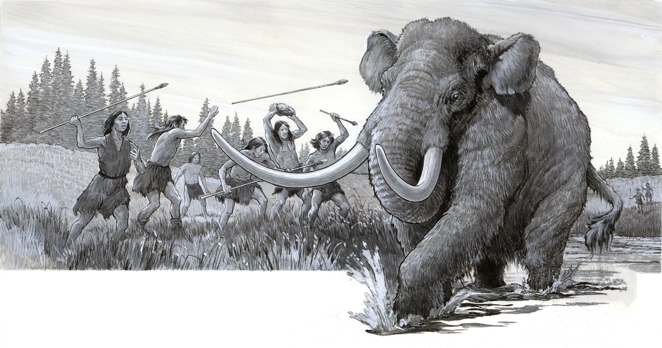 Paleoindians hunting mastodon Eight hunters attack a hairy elephant wading through a wetland with fir trees in the background.