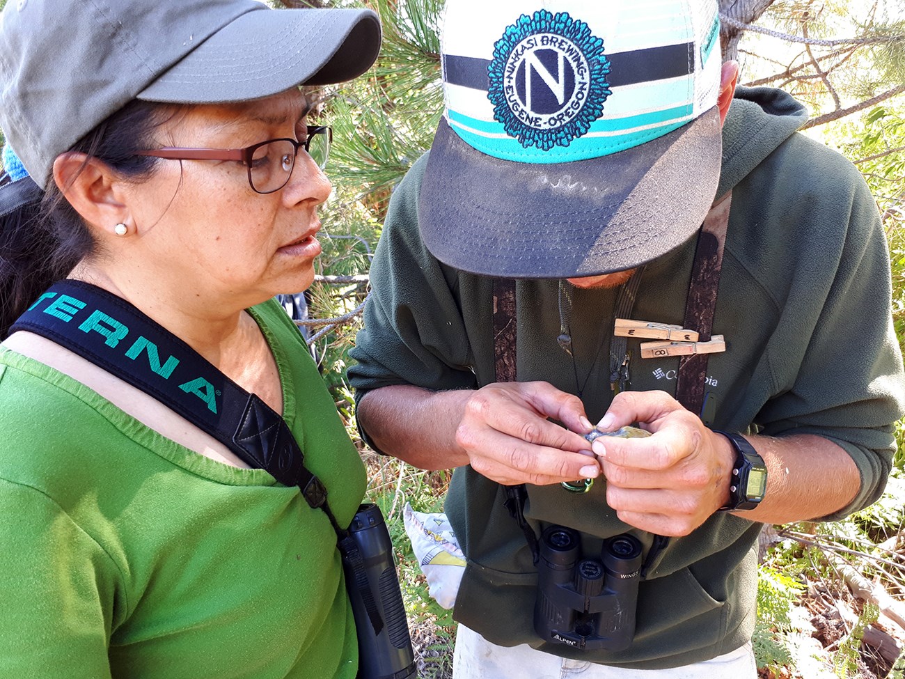 A woman in a green shirt looks on while a man holding a bird demonstrates how to tell its age.