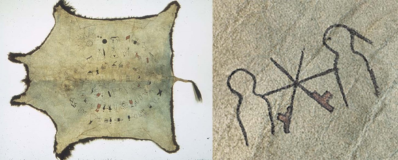 Bison hide. Bison hide showing illustrations in a circular motion.