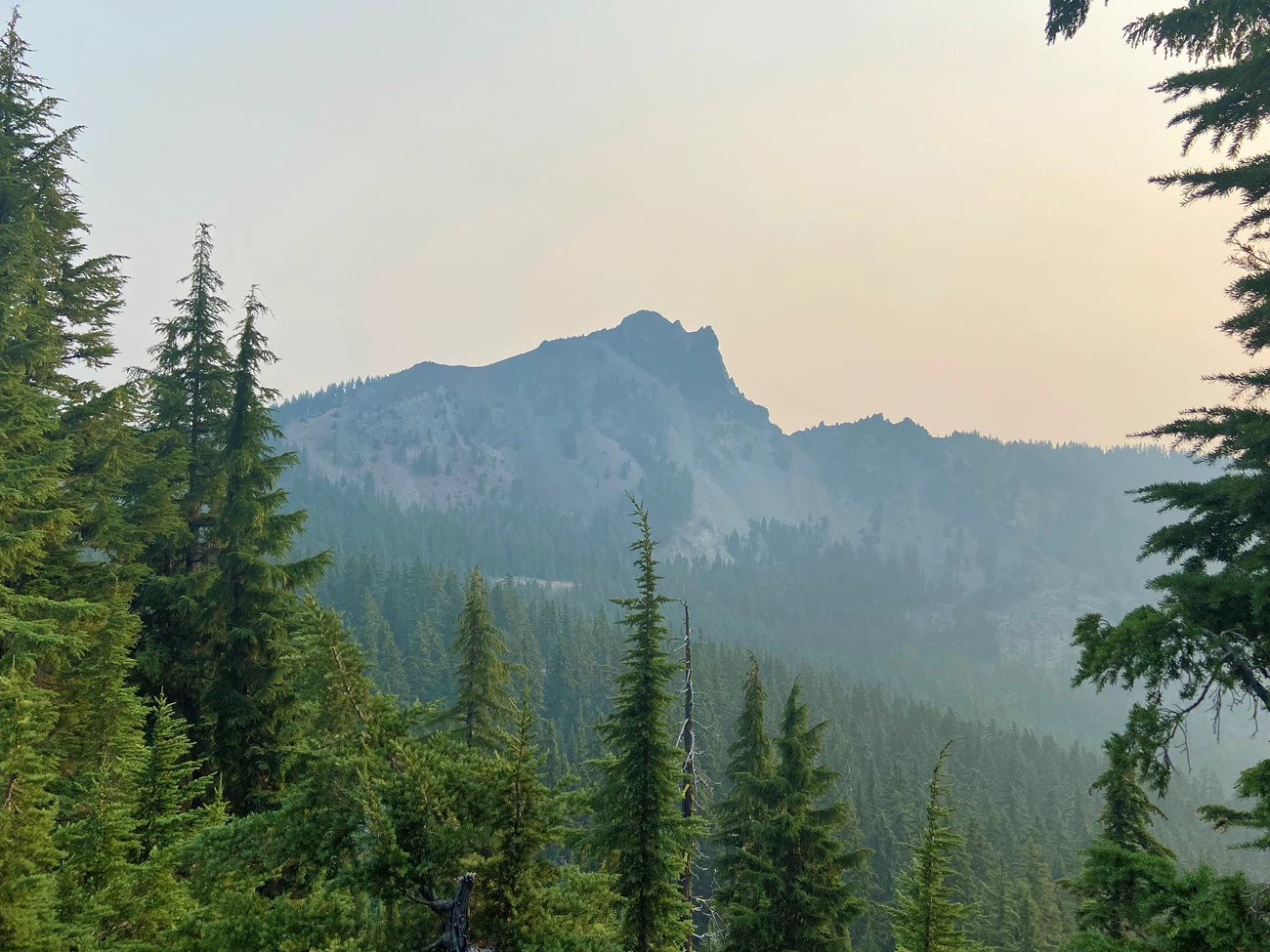 Thick haze View of a peak shrouded in a thick haze, framed by surrounding conifers.
