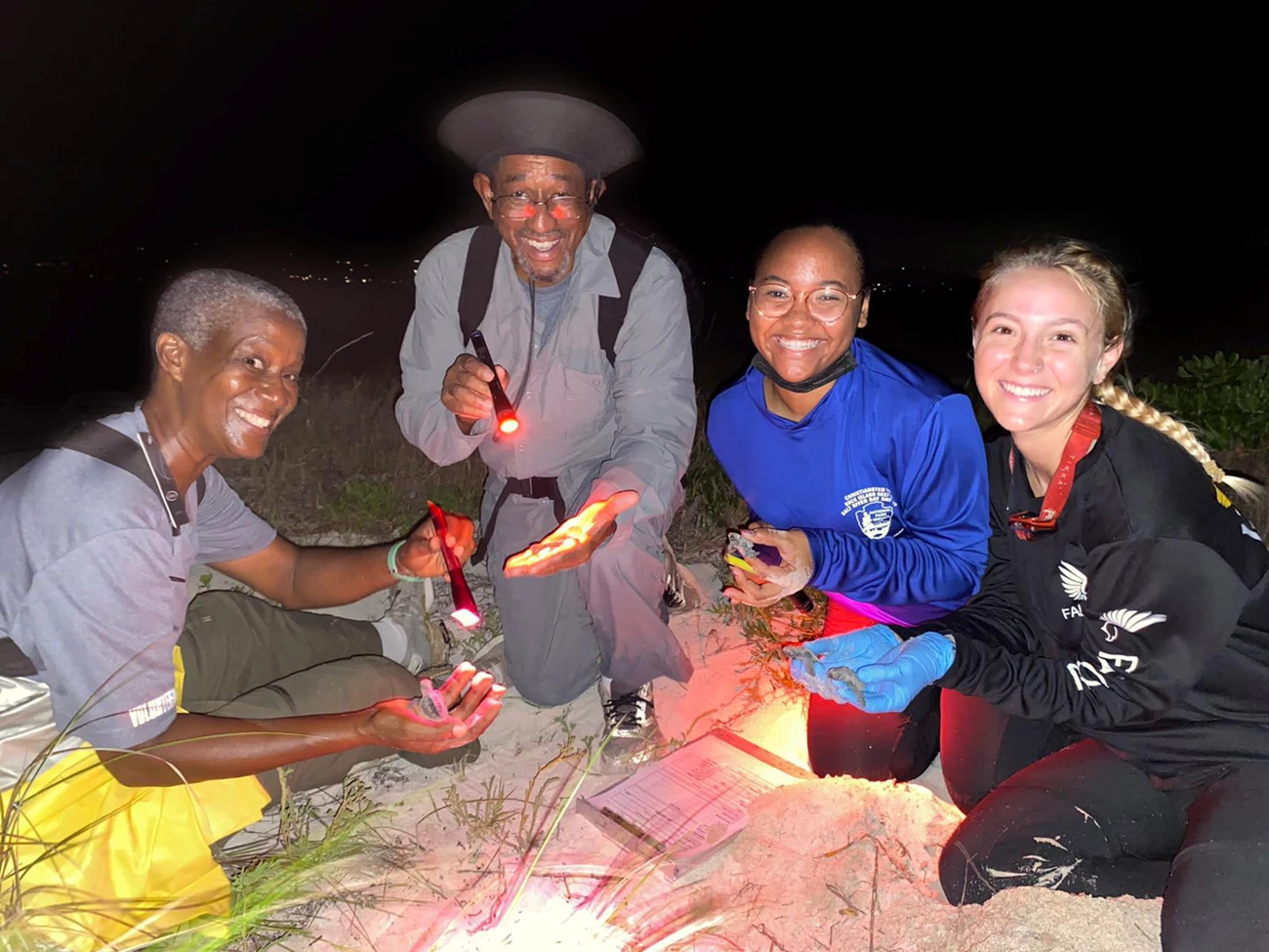 Volunteers assist with nest excavation and hatchling release Four people sitting on the sand with flashlights, examining something.