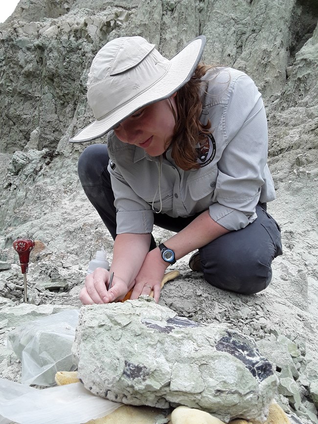 GIP Intern Anne Kort Person kneeling in fossil quarry working with small tools to remove rock matrix from a fossil.