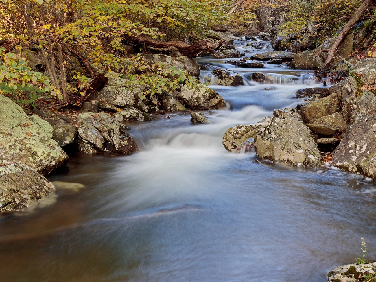Stream in Whiteoak Canyon Long exposure smoothes the water on a scenic section of stream in the fall as some leaves are turning yellow.