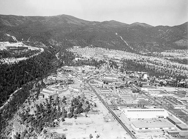 Black and white landscape with forest and mountains, buildings laid out in a grid.