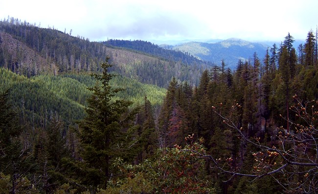 Multiple layers of mountains in Oregon Caves National Monument and Preserve