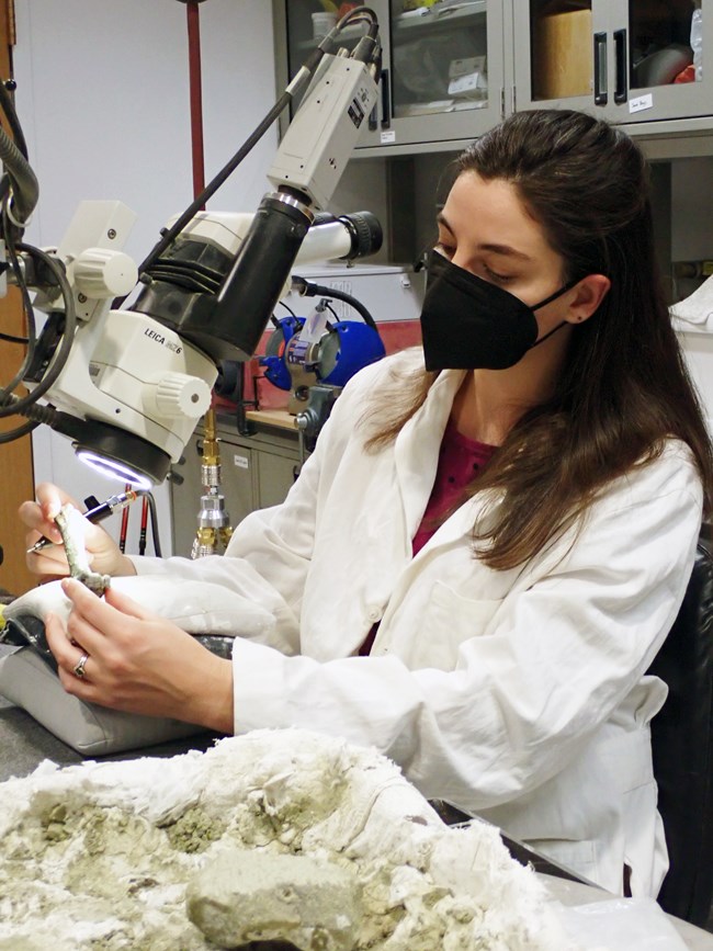 Photo of a person in a white lab coat seated at a microscope in a fossil prep lab.