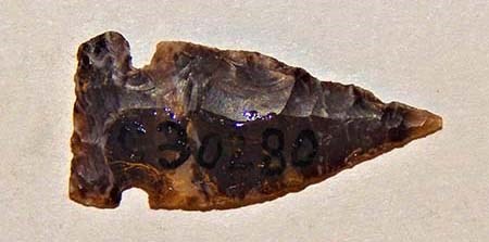 Arrowhead Dark and light brown flaked and blotchy arrowhead