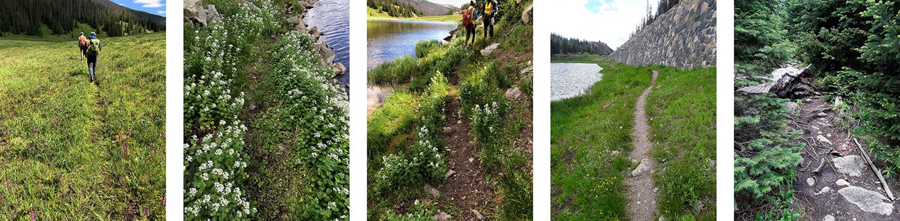 A series of five photos depicting park scenery with levels of damage, from least severe (left), with barely any visible impact, to most severe (right), with a deeply gouged trail.