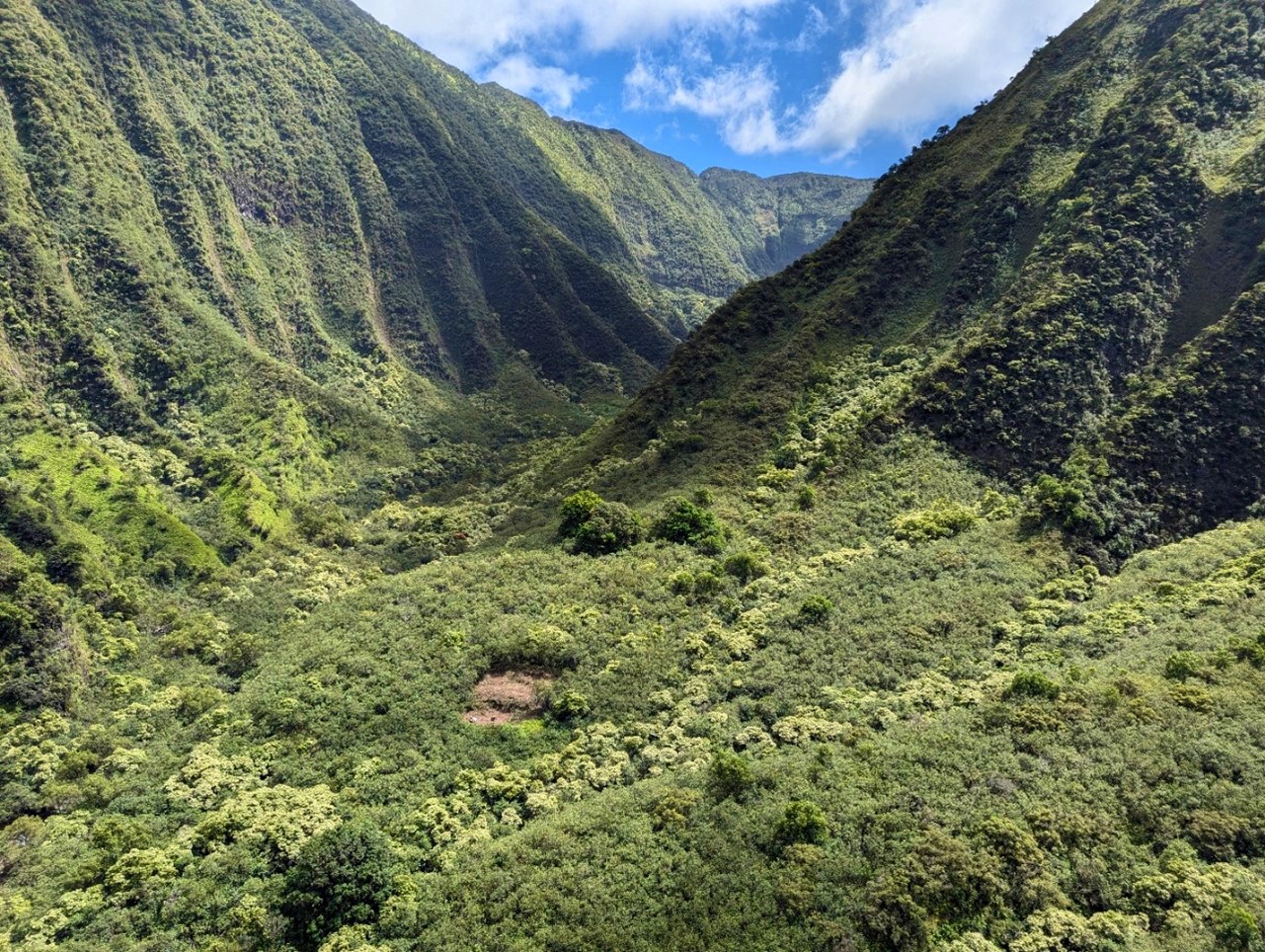 Beautiful, lush green valley with steep, grooved walls.