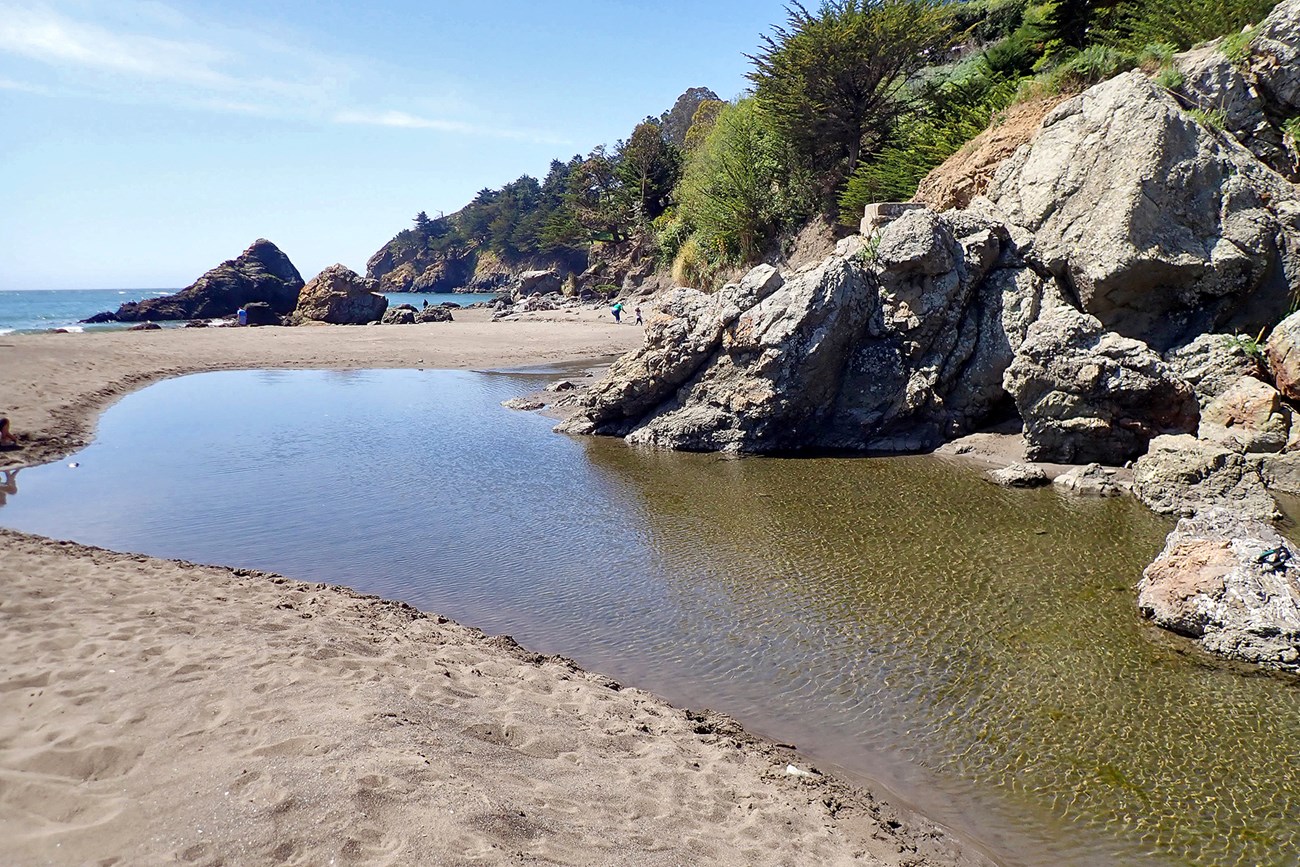 A clear creek flows toward a blue ocean. The creek is blocked by a sand bar on the ocean side, seen in the distance.